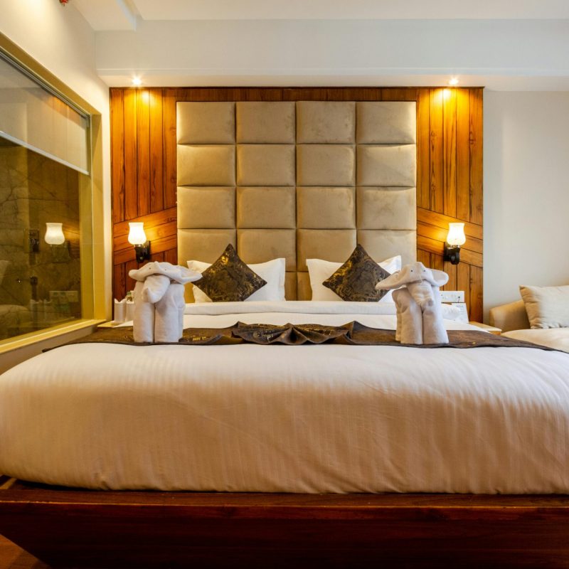 pexels-svh-manali-1801124329-28347475